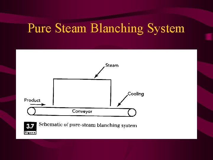 Pure Steam Blanching System 