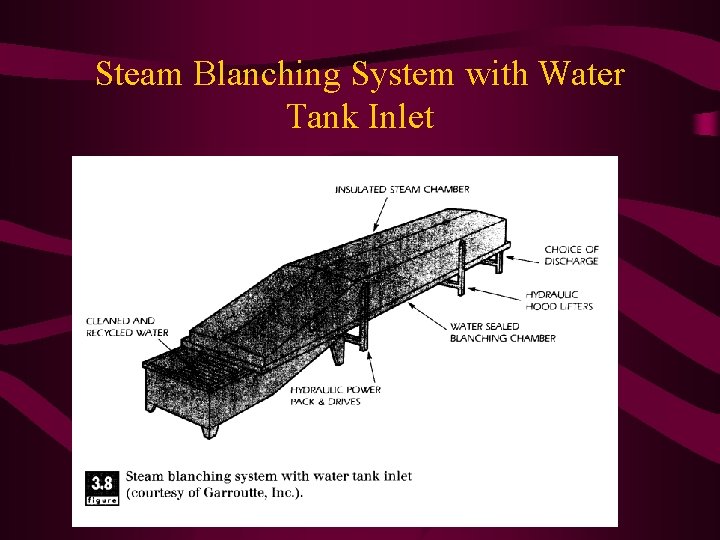 Steam Blanching System with Water Tank Inlet 