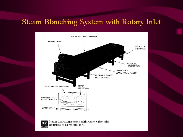 Steam Blanching System with Rotary Inlet 