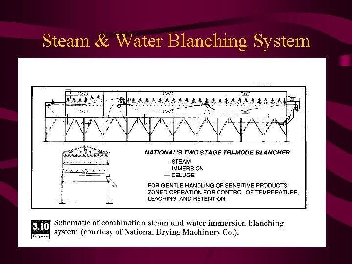 Steam & Water Blanching System 