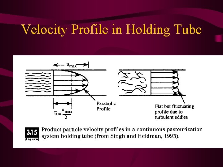 Velocity Profile in Holding Tube 