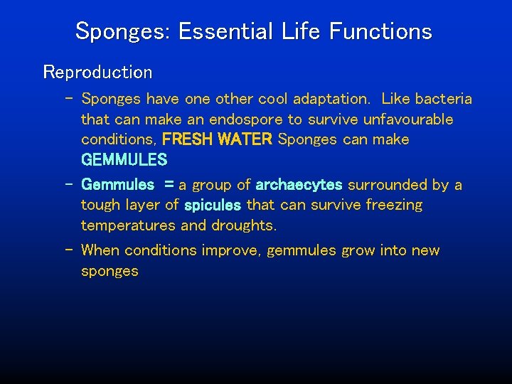 Sponges: Essential Life Functions Reproduction – Sponges have one other cool adaptation. Like bacteria