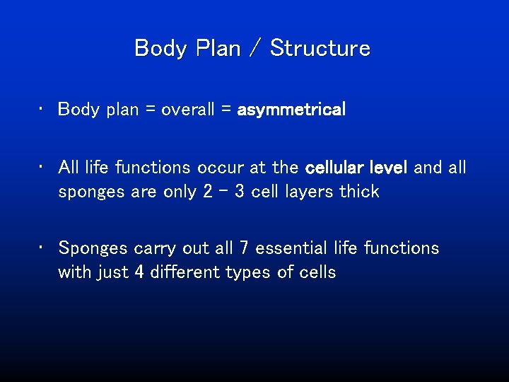 Body Plan / Structure • Body plan = overall = asymmetrical • All life
