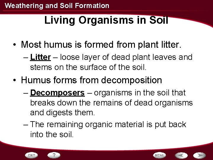 Weathering and Soil Formation Living Organisms in Soil • Most humus is formed from