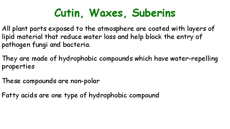 Cutin, Waxes, Suberins All plant parts exposed to the atmosphere are coated with layers