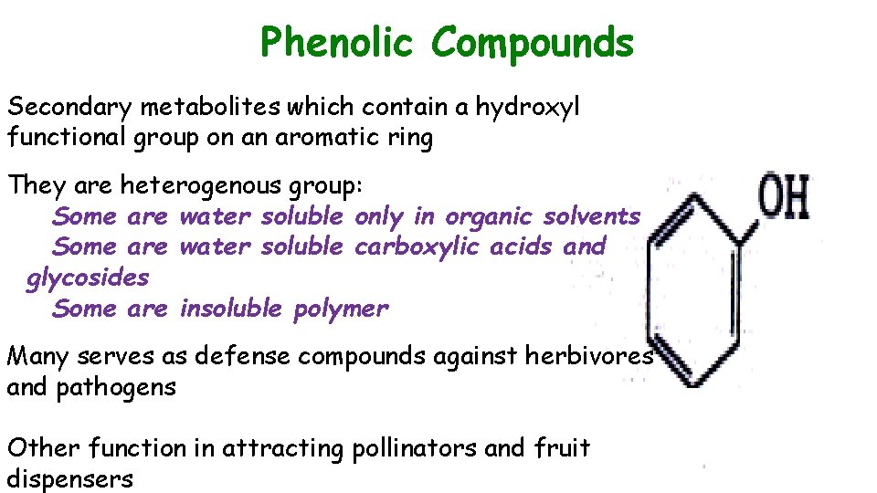Phenolic Compounds Secondary metabolites which contain a hydroxyl functional group on an aromatic ring