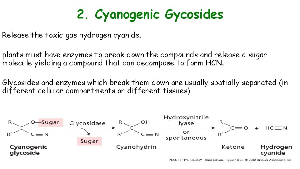 2. Cyanogenic Gycosides Release the toxic gas hydrogen cyanide. plants must have enzymes to