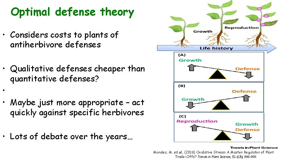 Optimal defense theory • Considers costs to plants of antiherbivore defenses • Qualitative defenses