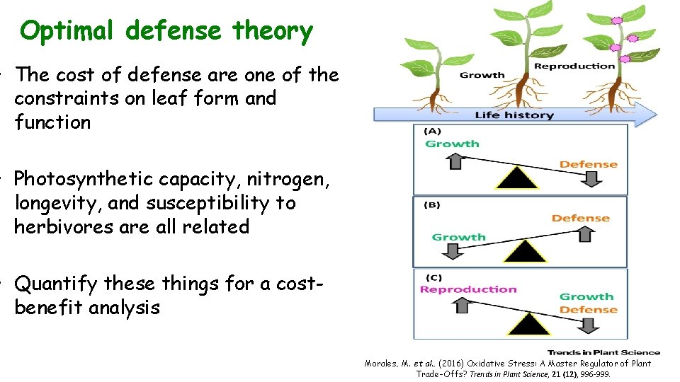Optimal defense theory • The cost of defense are one of the constraints on
