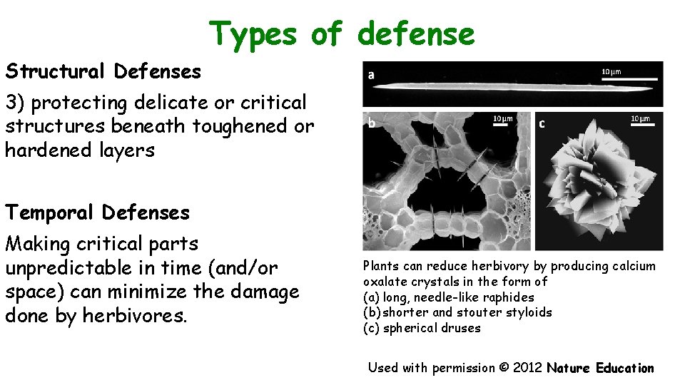 Types of defense Structural Defenses 3) protecting delicate or critical structures beneath toughened or
