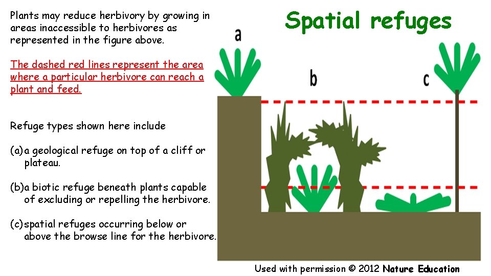 Plants may reduce herbivory by growing in areas inaccessible to herbivores as represented in