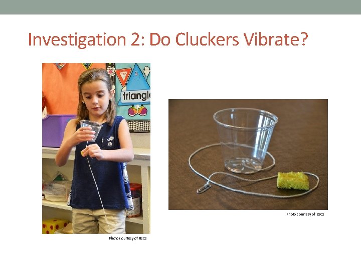 Investigation 2: Do Cluckers Vibrate? Photo courtesy of BSCS 