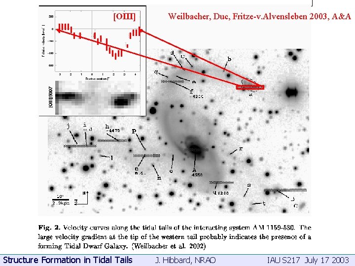 [OIII] Structure Formation in Tidal Tails Weilbacher, Duc, Fritze-v. Alvensleben 2003, A&A J. Hibbard,