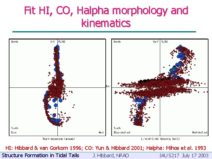 Fit HI, CO, Halpha morphology and kinematics HI: Hibbard & van Gorkom 1996; CO:
