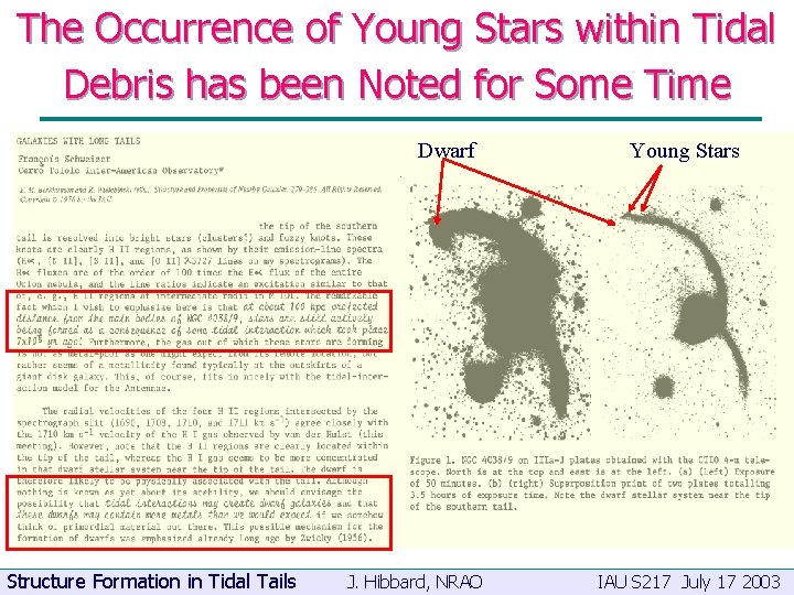 The Occurrence of Young Stars within Tidal Debris has been Noted for Some Time