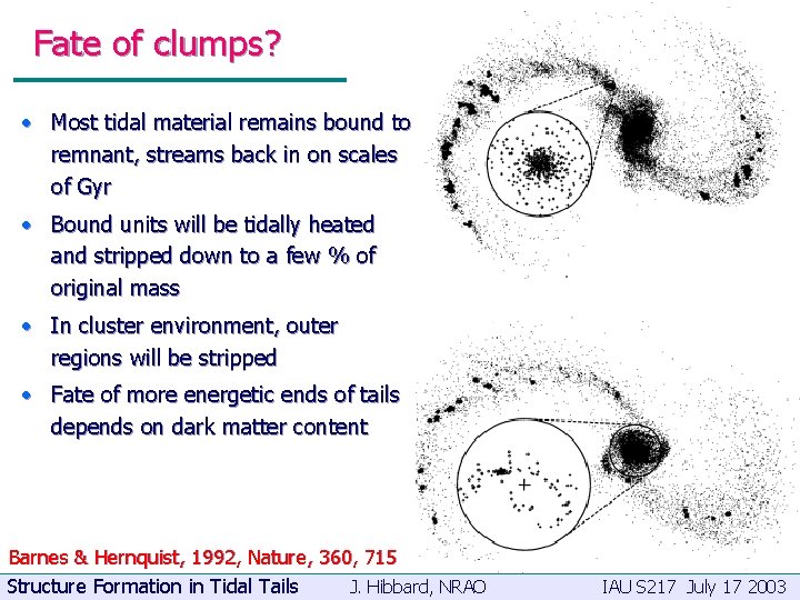 Fate of clumps? • Most tidal material remains bound to remnant, streams back in
