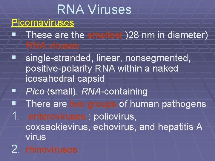 RNA Viruses Picornaviruses § These are the smallest )28 nm in diameter) RNA viruses