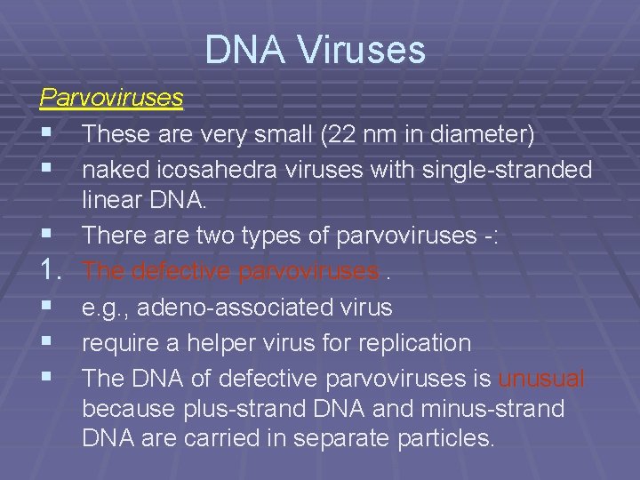 DNA Viruses Parvoviruses § These are very small (22 nm in diameter) § naked