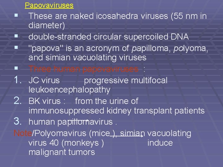 Papovaviruses § These are naked icosahedra viruses (55 nm in diameter) § double-stranded circular