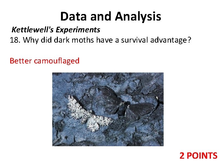 Data and Analysis Kettlewell's Experiments 18. Why did dark moths have a survival advantage? Data and Analysis Kettlewell's Experiments 18. Why did dark moths have a survival advantage?