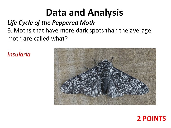 Data and Analysis Life Cycle of the Peppered Moth 6. Moths that have more Data and Analysis Life Cycle of the Peppered Moth 6. Moths that have more