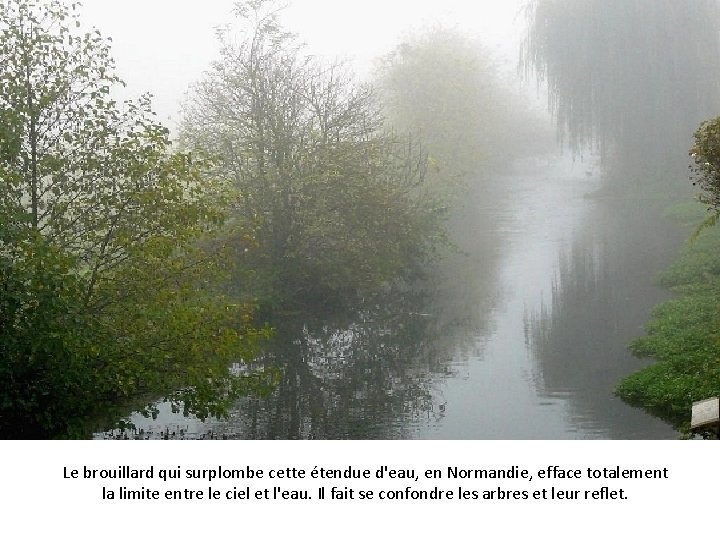 Le brouillard qui surplombe cette étendue d'eau, en Normandie, efface totalement la limite entre