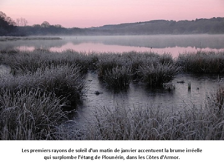 Les premiers rayons de soleil d'un matin de janvier accentuent la brume irréelle qui