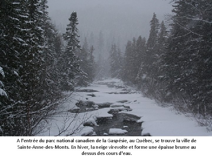 A l'entrée du parc national canadien de la Gaspésie, au Québec, se trouve la