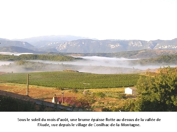 Sous le soleil du mois d'août, une brume épaisse flotte au-dessus de la vallée