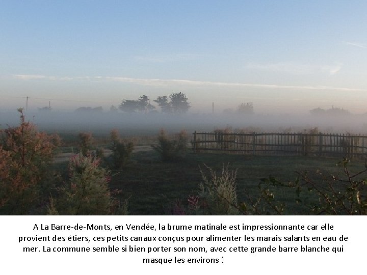 A La Barre-de-Monts, en Vendée, la brume matinale est impressionnante car elle provient des