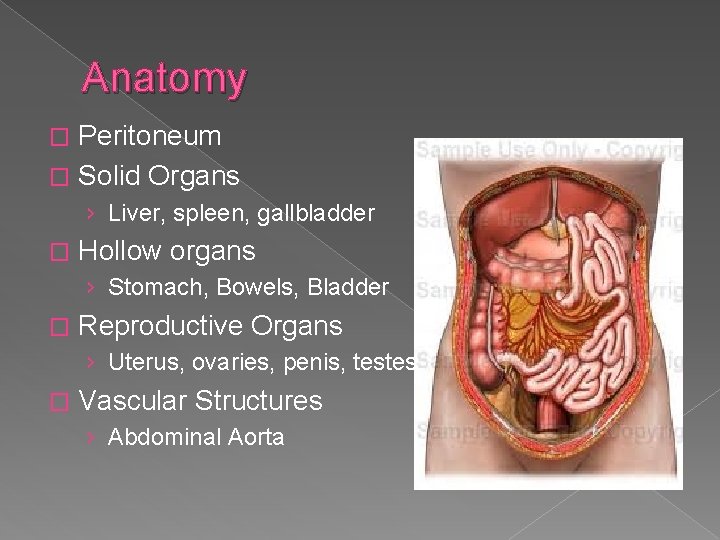 Anatomy Peritoneum � Solid Organs � › Liver, spleen, gallbladder � Hollow organs ›