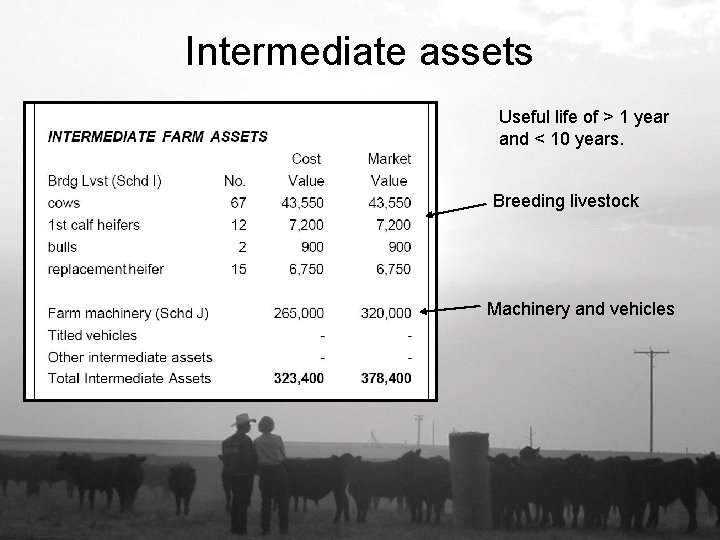 Intermediate assets Useful life of > 1 year and < 10 years. Breeding livestock