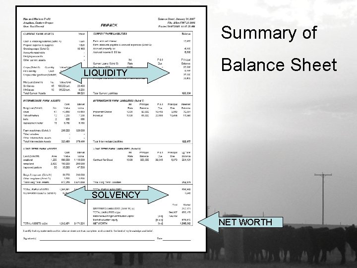 Summary of LIQUIDITY Balance Sheet SOLVENCY NET WORTH 