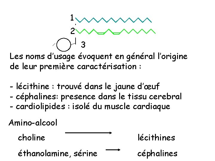 1 2 P 3 Les noms d’usage évoquent en général l’origine de leur première