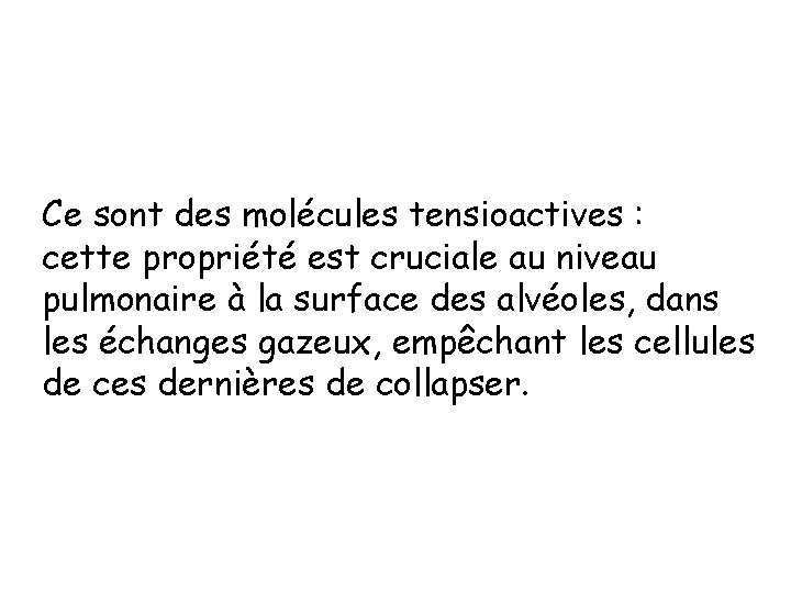 Ce sont des molécules tensioactives : cette propriété est cruciale au niveau pulmonaire à