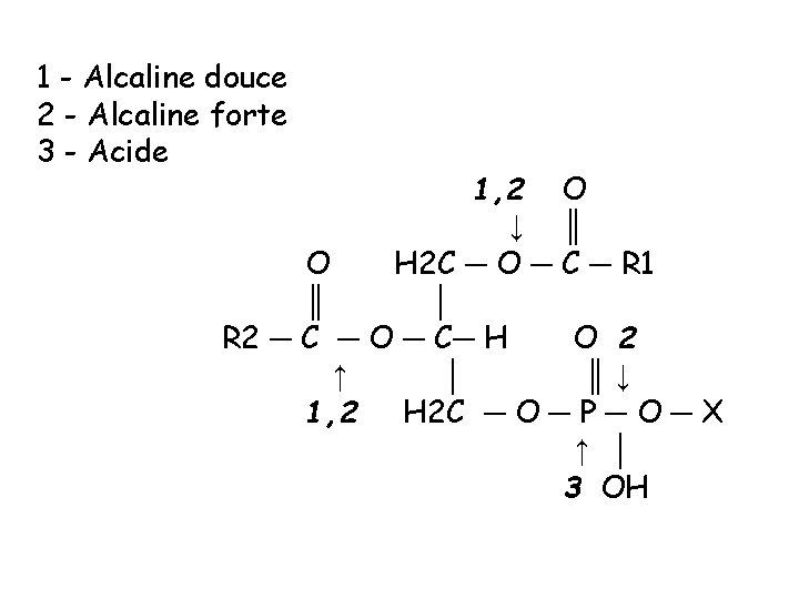 1 - Alcaline douce 2 - Alcaline forte 3 - Acide 1, 2 O