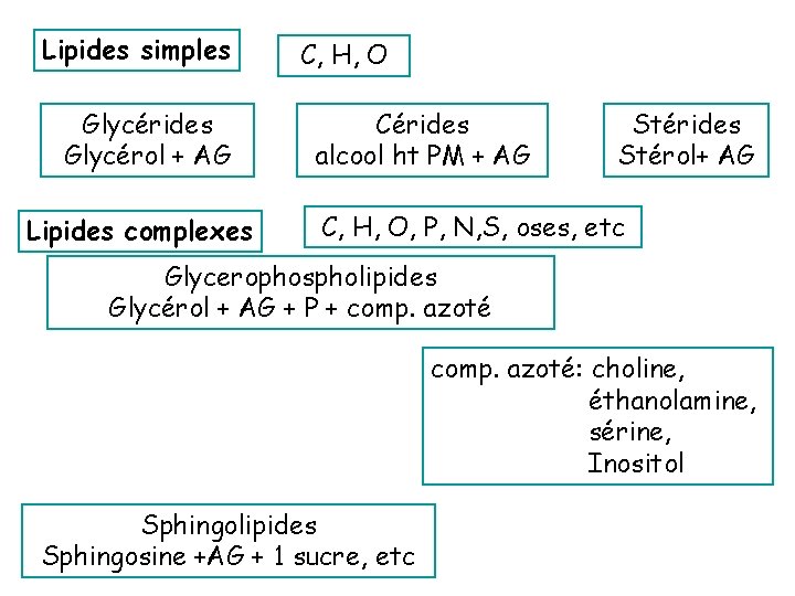 Lipides simples Glycérides Glycérol + AG Lipides complexes C, H, O Cérides alcool ht