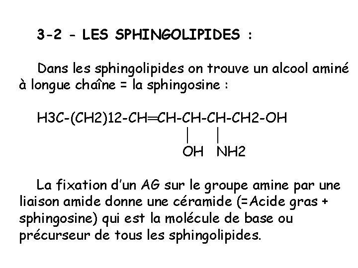 3 -2 - LES SPHINGOLIPIDES : Dans les sphingolipides on trouve un alcool aminé