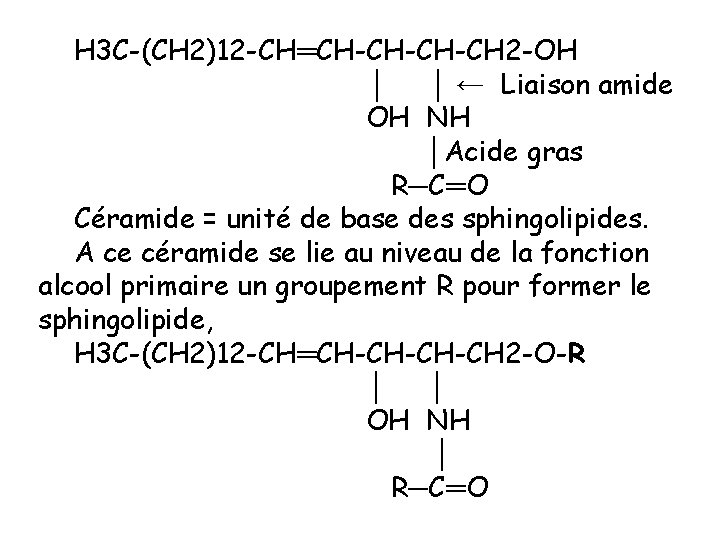 H 3 C-(CH 2)12 -CH═CH-CH-CH-CH 2 -OH │ │ ← Liaison amide OH NH