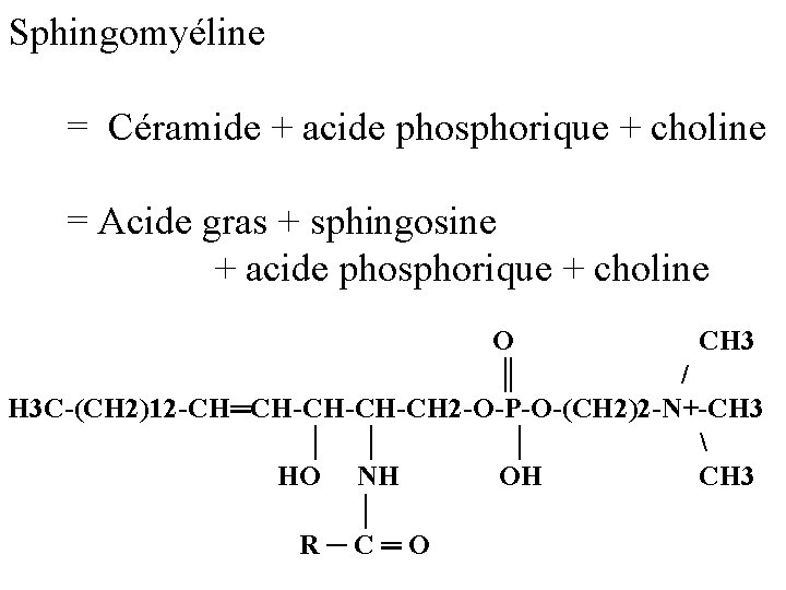 Sphingomyéline = Céramide + acide phosphorique + choline = Acide gras + sphingosine +