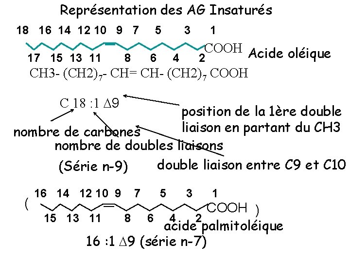 Représentation des AG Insaturés 18 16 14 12 10 9 7 5 3 1