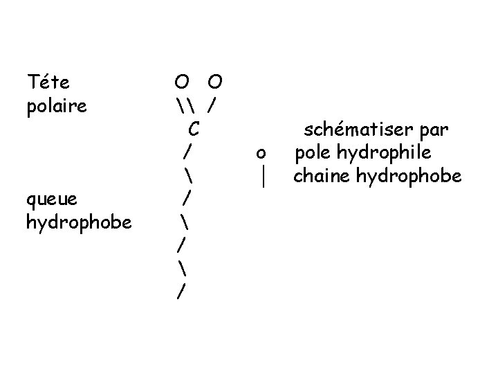 Téte polaire queue hydrophobe O O \ / C /  /  /