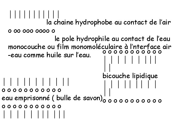 ││││││ la chaine hydrophobe au contact de l’air o oo oooo o le pole