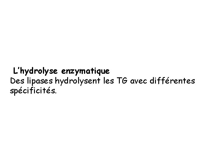 L’hydrolyse enzymatique Des lipases hydrolysent les TG avec différentes spécificités. 