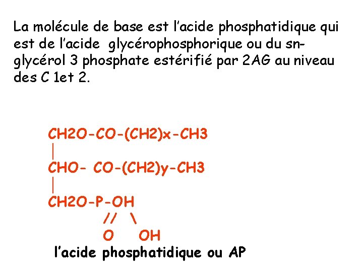 La molécule de base est l’acide phosphatidique qui est de l’acide glycérophosphorique ou du