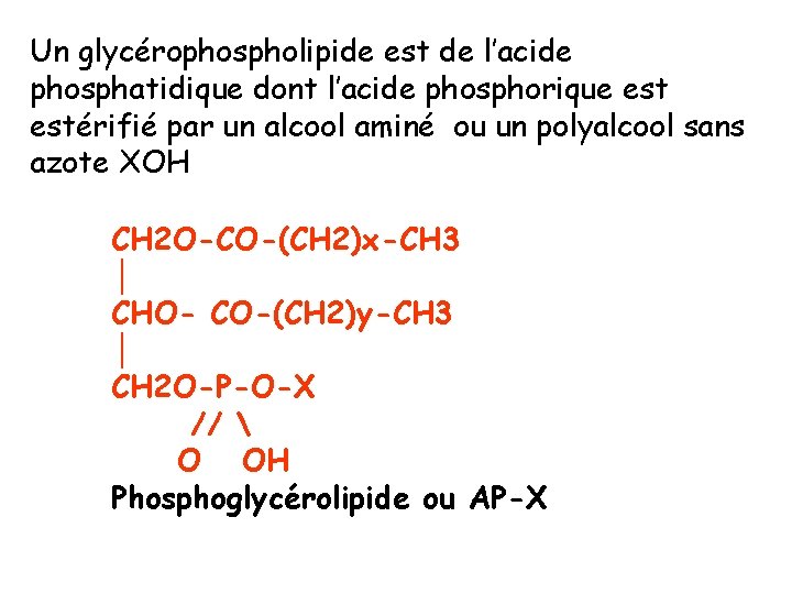 Un glycérophospholipide est de l’acide phosphatidique dont l’acide phosphorique estérifié par un alcool aminé