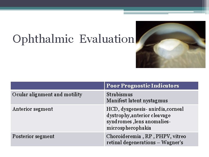 Ophthalmic Evaluation Poor Prognostic Indicators Ocular alignment and motility Strabismus Manifest latent nystagmus Anterior