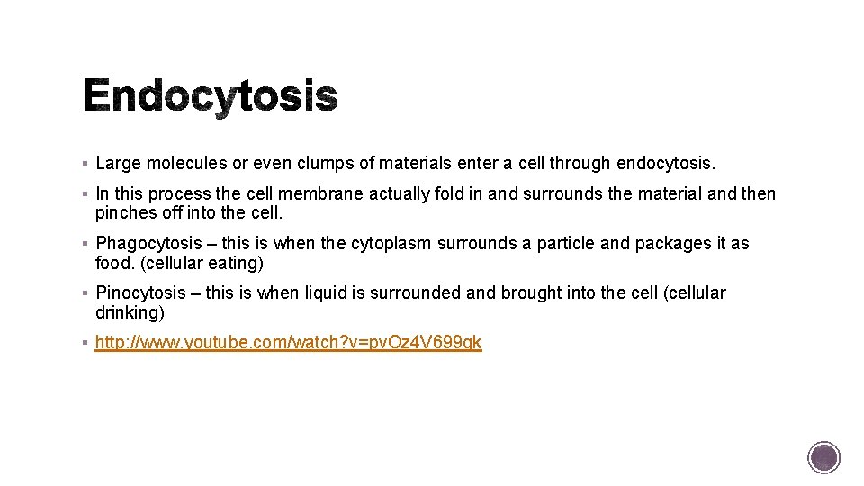 § Large molecules or even clumps of materials enter a cell through endocytosis. §