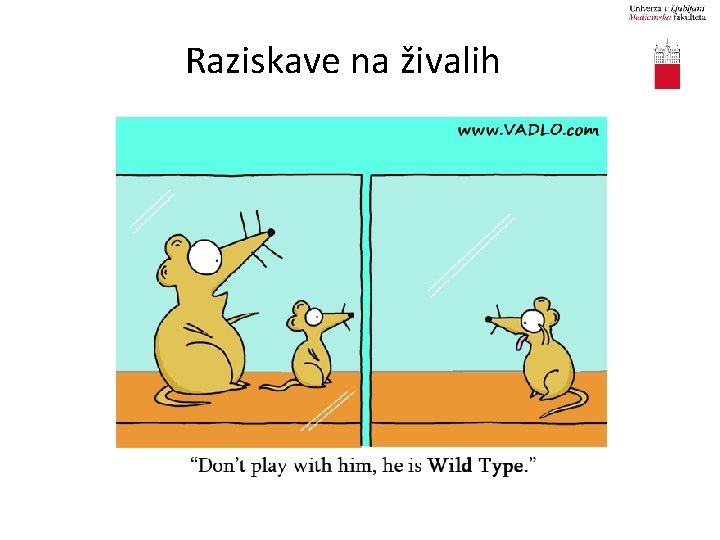 Raziskave na živalih 