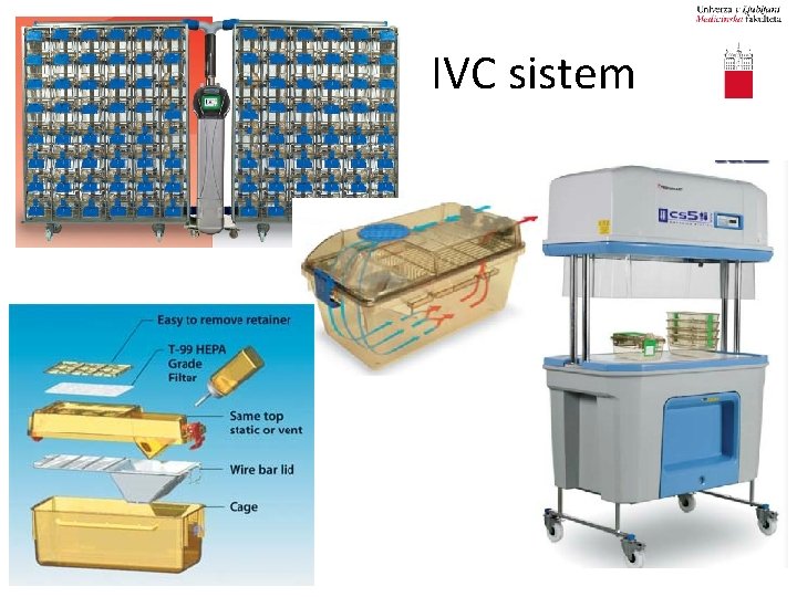 IVC sistem 